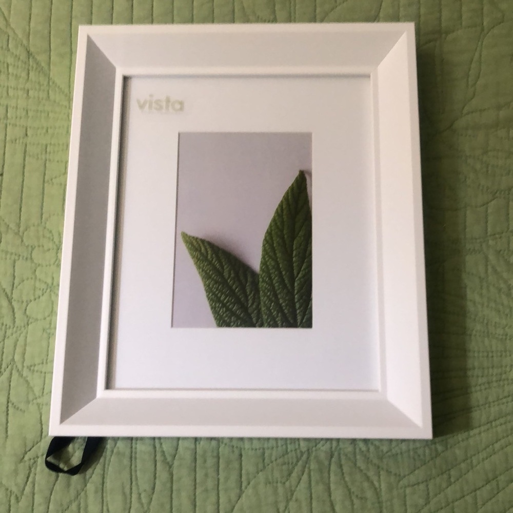 Vista frames, it fits an 8x10 picture.